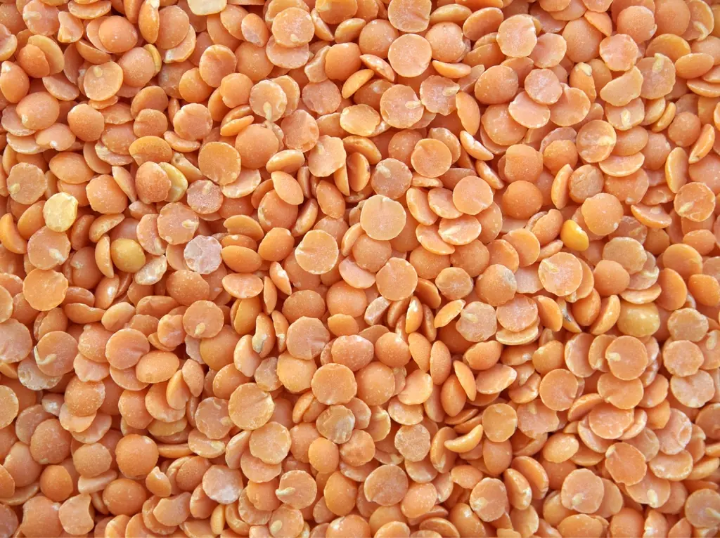 A heap of split red lentils.